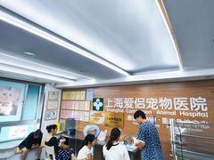 -爱侣宠医·鹦鹉专科·小型哺乳类·异宠专科(灵石路店)