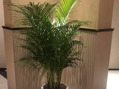 -上岛咖啡(四平路店)