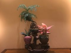 -小榄人家酒楼(民安店)