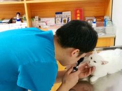 -pd派德宠物中心医院24H急重症·眼科中心·血液透析中心(嵩山北路店)