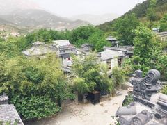 -老张烤羊(王哥庄店)