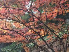 -吴山景区
