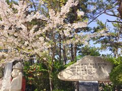 -海东龙宫寺