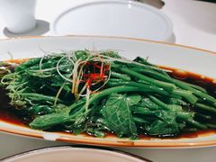 白灼丝瓜尖-雲蜀龙阁·金牌水煮鱼(方庄店)