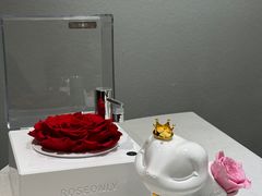 -ROSEONLY诺誓(磐基中心店)
