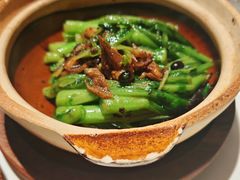 -四季民福烤鸭店(望京旺角店)
