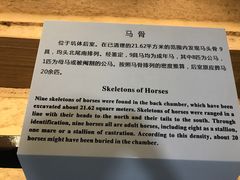 -秦始皇帝陵博物院-丽山园