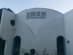 -蝴蝶泉公园