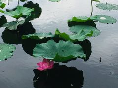 -北京植物园南门售票处