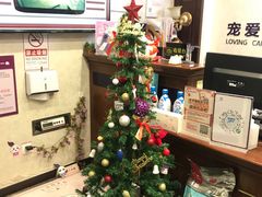-宠爱国际动物医院·疑难骨科·心肾内科·皮肤科(太阳宫店)