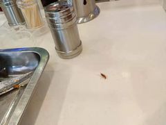 -银鲨海鲜烤肉火锅自助餐厅(五星店)