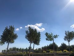 -东疆建设开发纪念公园