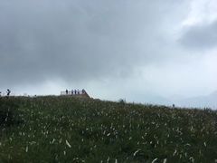 -白草畔自然风景区