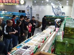 -海岛渔村大酒店(云霄路店)