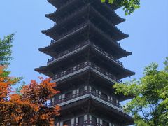 -宜兴龙背山森林公园