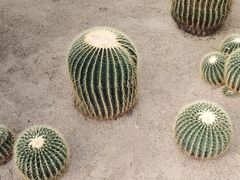 -长春农业博览园