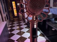 -金青果甄选KTV(劳动公园店)
