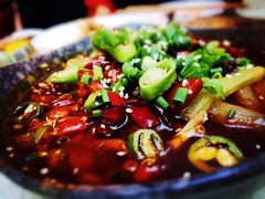 -付小姐在成都(中山公园店)