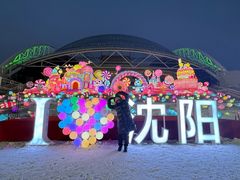 -沈阳奥体冰雪嘉年华