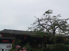 -观澜山水田园
