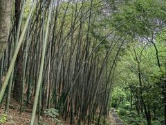 -穹窿山景区