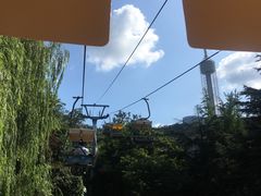 -富斯特索道