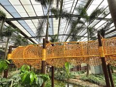 -呀路古热带植物园
