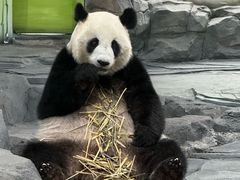 -秦皇岛野生动物园