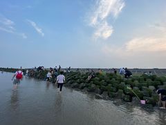 -南汇嘴观海公园