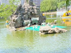 -团结湖公园
