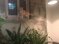 -小时光咖啡馆(北锣鼓巷店)