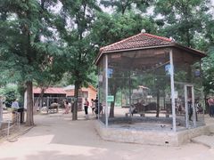 -意大利农场度假村