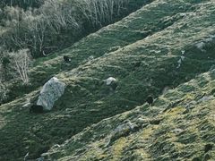 -灵山