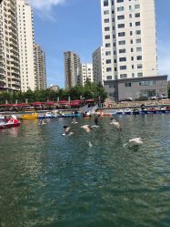 -星海水上乐园(星海广场圣亚店)