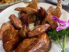 -鸽鸟轩(石岐店)
