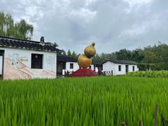 -溱湖国家湿地公园