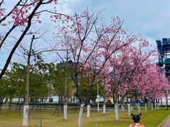 -韶关经律论国际酒店温泉
