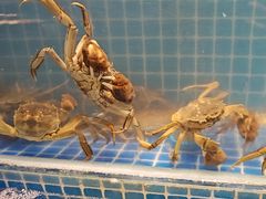 -星伦多自助料理·涮烤一体(嘉兴八佰伴店)