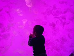 -沈阳海洋探索中心