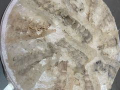 -官塘陈记鱼生·潮汕砂锅粥·牛肉火锅(潮枫路总店)