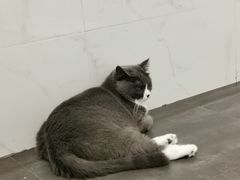 -乐果甜心·潮汕冰室(南澳后宅分店)