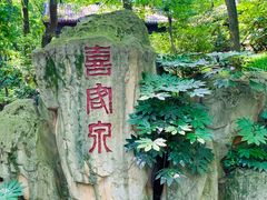 -句容茅山景区