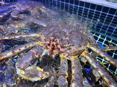 -开海·红岛海鲜虾水饺(石老人店)