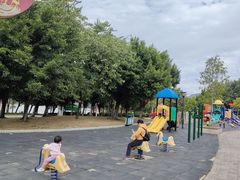 -飞来湖湿地公园