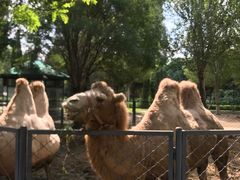 -长白岛森林公园