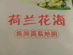 -荷兰花海