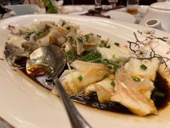 清蒸石斑鱼-外沙疍家棚酒楼