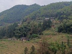 -紫鹊界梯田景区