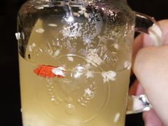 -大王油茶(二厂文创公园店)