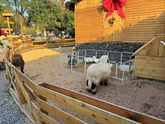 -HERRE·FARM 赫尔露营农场·团建聚会包场